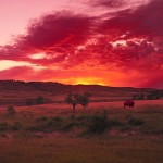 Indianer Photo Reise mit Christian Heeb