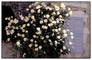 Provence Foto Tour mit Christian Heeb